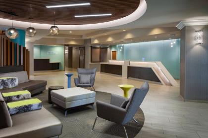 Springhill Suites by Marriott Orlando Lake Buena Vista In Marrio - image 2