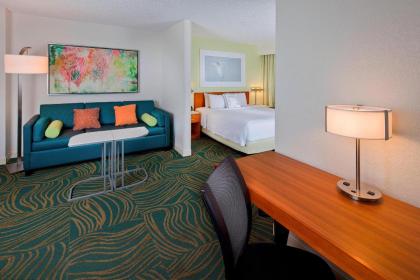 Springhill Suites by Marriott Orlando Lake Buena Vista In Marrio - image 8