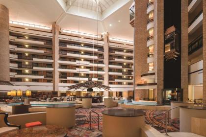 Embassy Suites by Hilton Orlando International Drive ICON Park - image 7