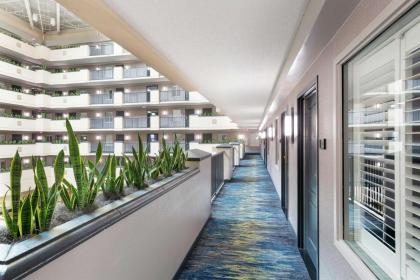 Embassy Suites by Hilton Orlando- Airport - image 5