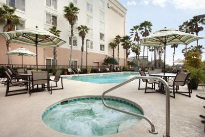 Embassy Suites by Hilton Orlando- Airport - image 6