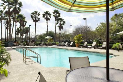 Embassy Suites by Hilton Orlando- Airport - image 8