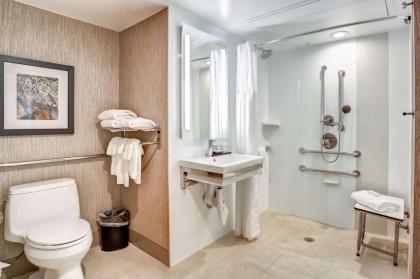 Embassy Suites By Hilton Hotel Orlando-International Dr. South/Conv. Center - image 15