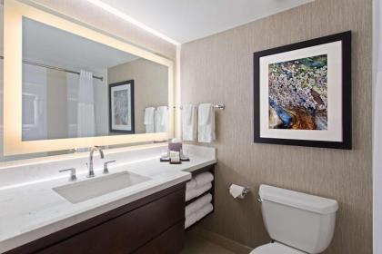 Embassy Suites By Hilton Hotel Orlando-International Dr. South/Conv. Center - image 23