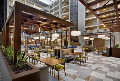 Embassy Suites By Hilton Hotel Orlando-International Dr. South/Conv. Center - image 5