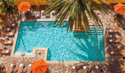 Embassy Suites By Hilton Hotel Orlando-International Dr. South/Conv. Center - image 6