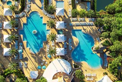Hilton Grand Vacations at SeaWorld - image 10