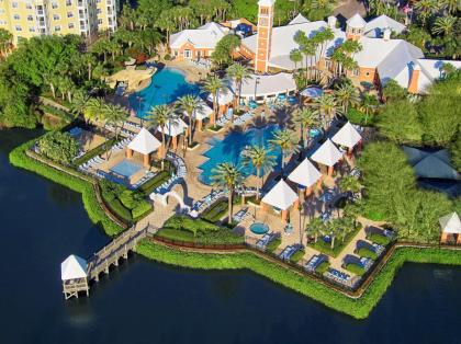 Hilton Grand Vacations at SeaWorld - image 5