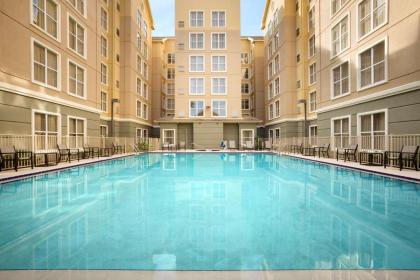 Homewood Suites By Hilton Orlando-Intl Dr./Conv. Center - image 17