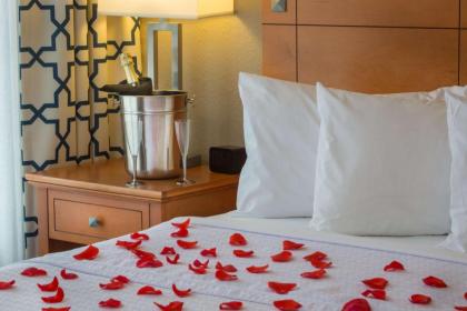 Homewood Suites By Hilton Orlando-Intl Dr./Conv. Center - image 27