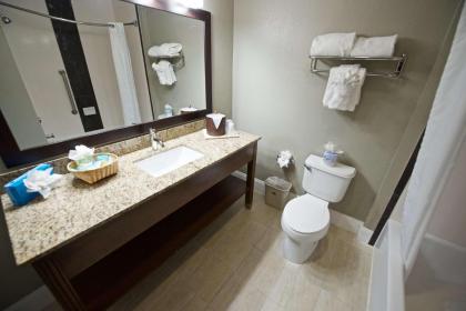 Best Western Airport Inn & Suites - image 16