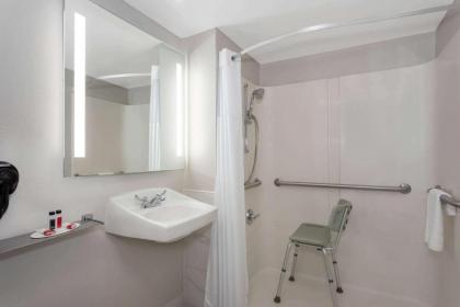 Days Inn by Wyndham Orlando Conv. Center/International Dr - image 10