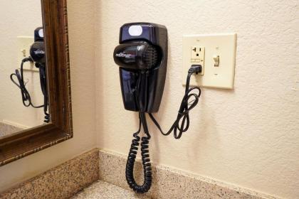 Rosen Inn International - image 23