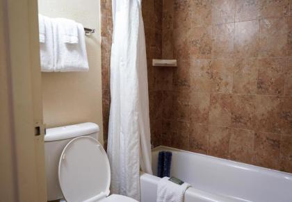 Rosen Inn International - image 25