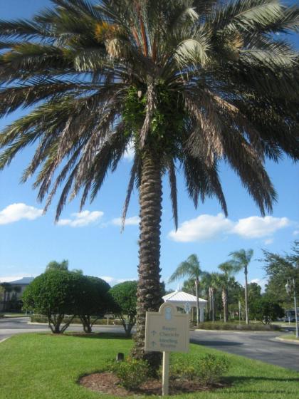 Monumental Hotel Orlando - image 19
