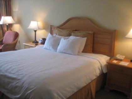 Monumental Hotel Orlando - image 28