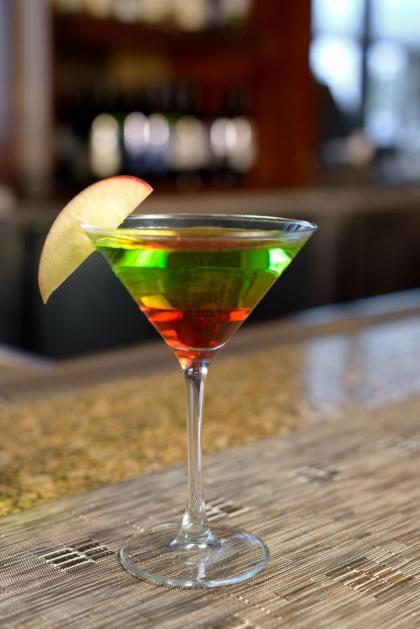 Sheraton Suites Orlando Airport - image 8