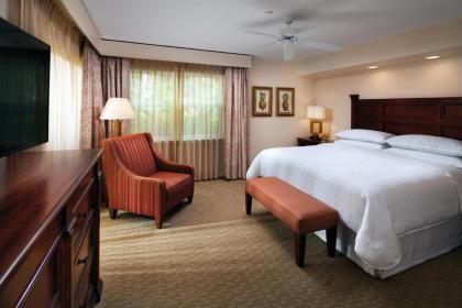Sheraton Vistana Resort Villas Lake Buena Vista/Orlando - image 19