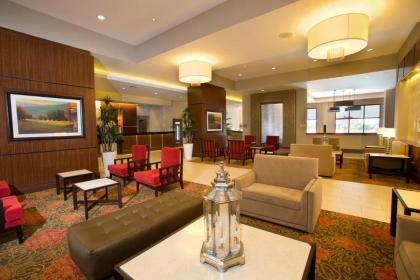 Ramada Plaza Resort & Suites by Wyndham Orlando Intl Drive - image 4