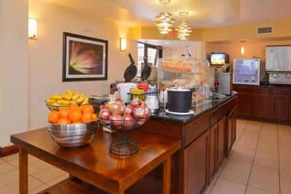 Mai Hana Hotel - International Drive - image 18