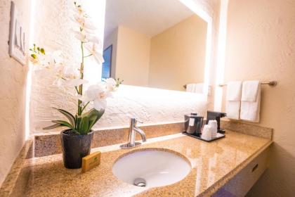 Mai Hana Hotel - International Drive - image 6