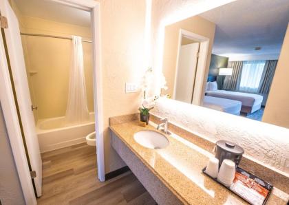 Mai Hana Hotel - International Drive - image 7