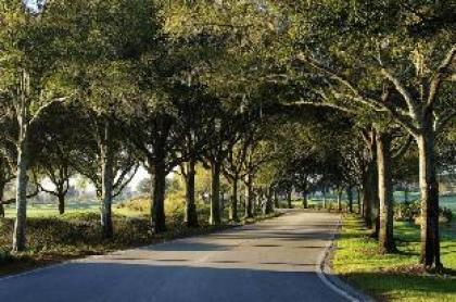 Villas Of Grand Cypress - image 22