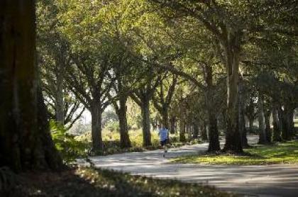Villas Of Grand Cypress - image 5