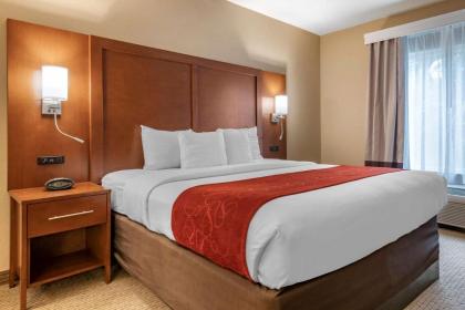 Comfort Suites Orlando Airport - image 10