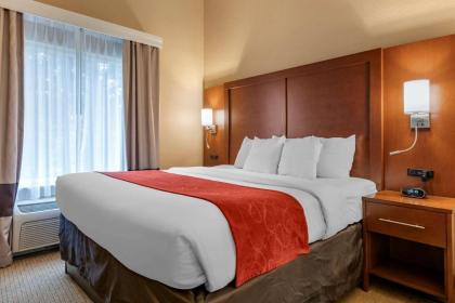 Comfort Suites Orlando Airport - image 14
