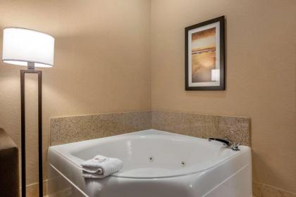 Comfort Suites Orlando Airport - image 16