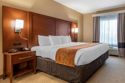 Comfort Suites Orlando Airport - image 5