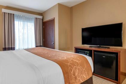 Comfort Suites Orlando Airport - image 6