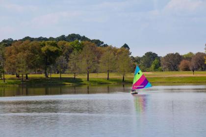 Hyatt Regency Grand Cypress Resort - image 25