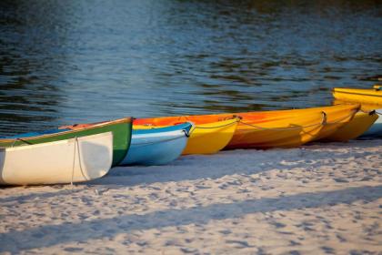 Hyatt Regency Grand Cypress Resort - image 28