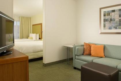 SpringHill Suites by Marriott Orlando Convention Center/International Drive  - image 3