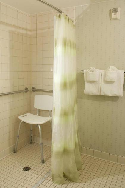SpringHill Suites by Marriott Orlando Convention Center/International Drive  - image 8