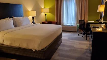 Holiday Inn Express & Suites Orlando - International Drive an IHG Hotel - image 29