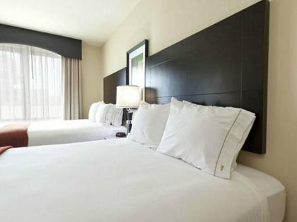 Holiday Inn Express & Suites Orlando - International Drive an IHG Hotel - image 3