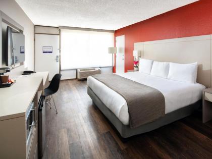 Avanti Palms Resort And Conference Center - image 15
