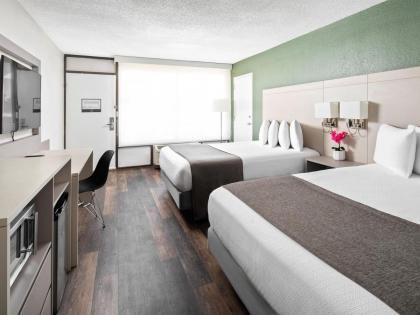 Avanti Palms Resort And Conference Center - image 21