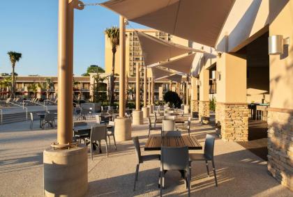 Avanti Palms Resort And Conference Center - image 25