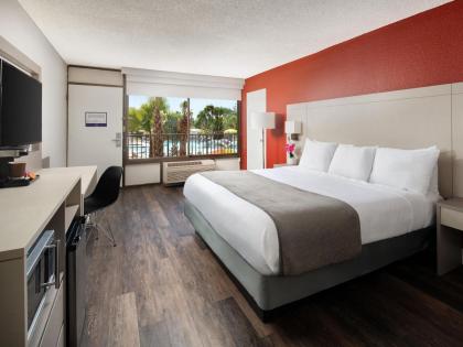 Avanti Palms Resort And Conference Center - image 7