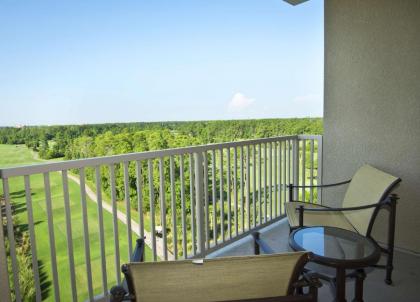 Waldorf Astoria Orlando - image 17