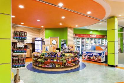 Holiday Inn Resort Orlando Suites - Waterpark - image 18