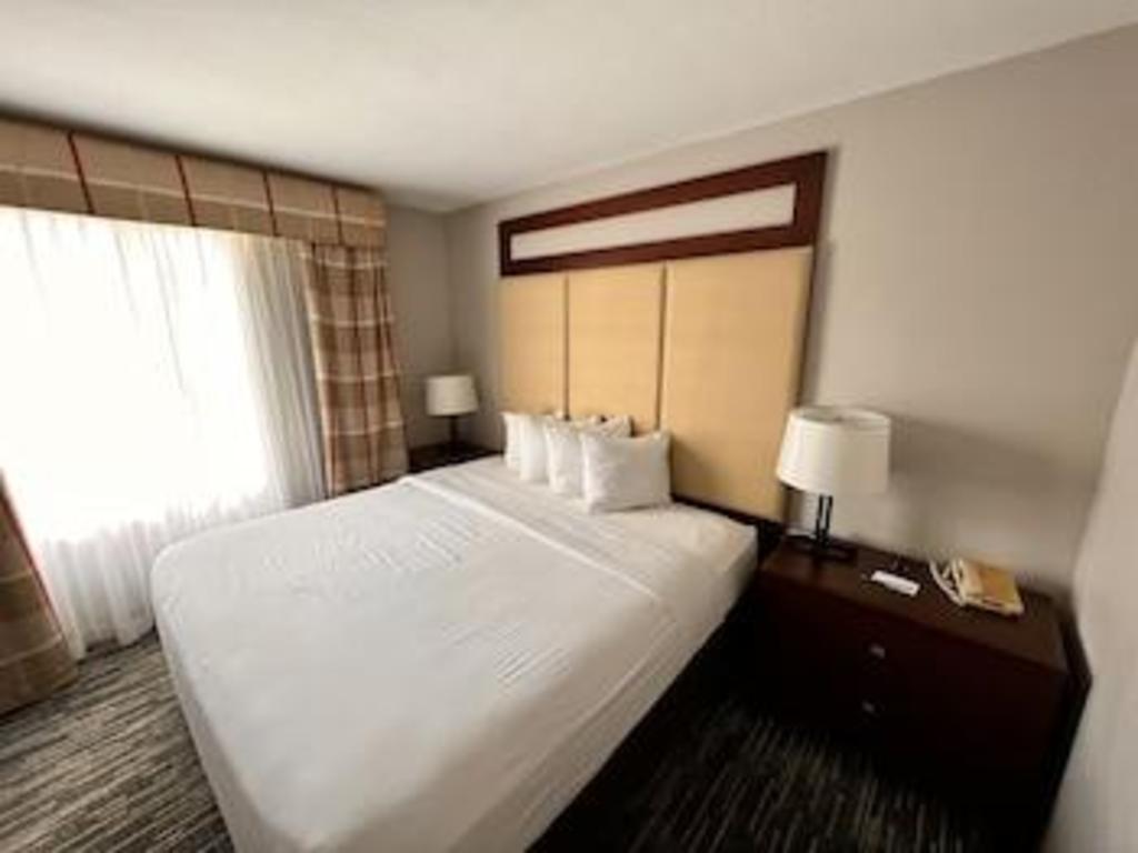 Spark by Hilton Orlando Universal Blvd - image 7