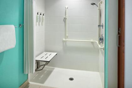 SpringHill Suites by Marriott Orlando at SeaWorld® - image 13