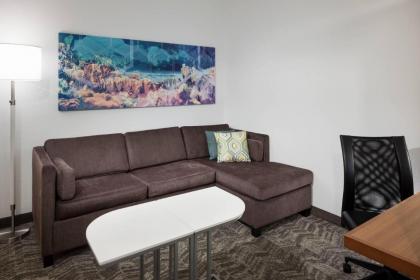 SpringHill Suites by Marriott Orlando at SeaWorld® - image 9