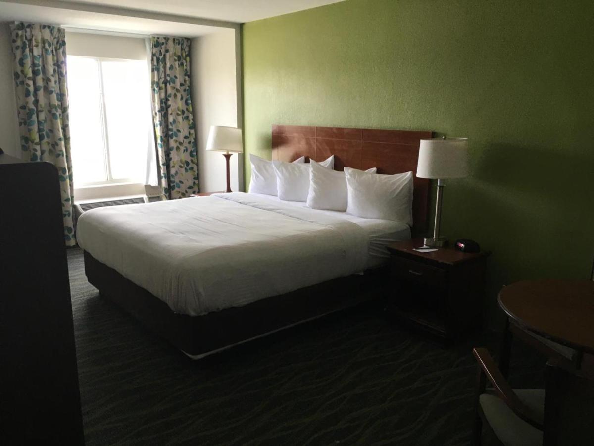 Quality Inn & Suites Winter Park Village Area - image 3