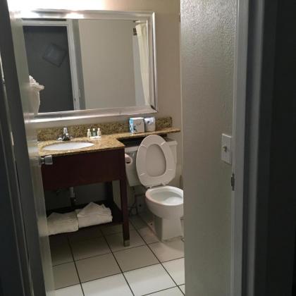 Quality Inn & Suites Winter Park Village Area - image 4